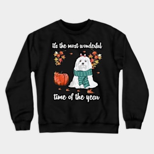 Maltese Dog Autumn Fall Most Wonderful Time Maple Gift Crewneck Sweatshirt